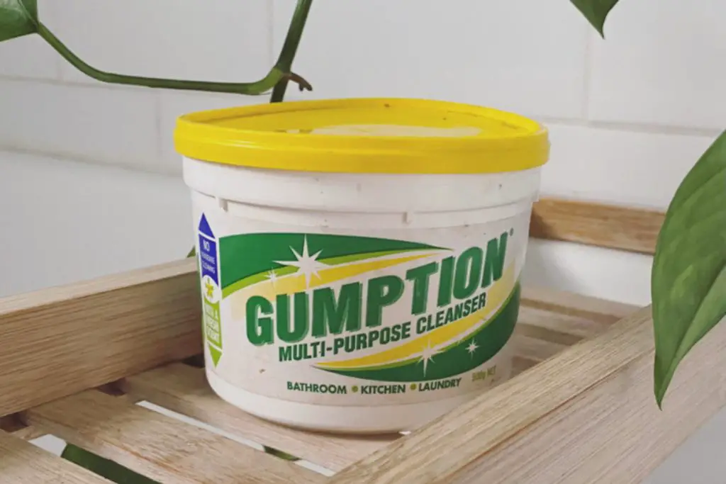 gumption