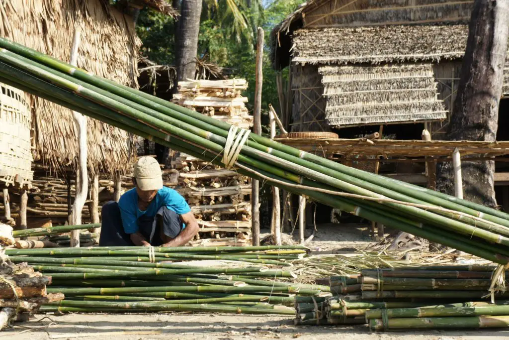 bamboo sustainability