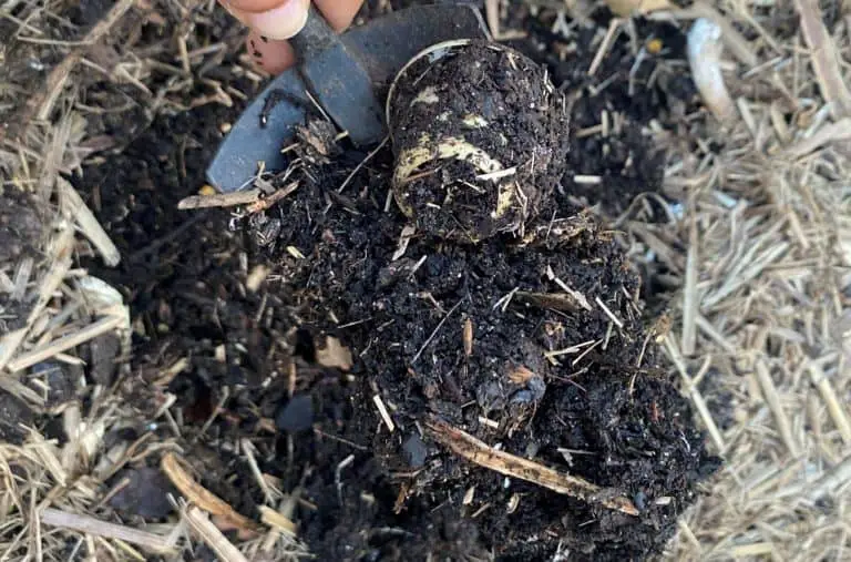 compost from bokashi bin