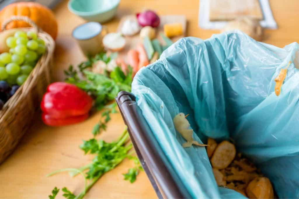 keeping kitchen compost bin clean