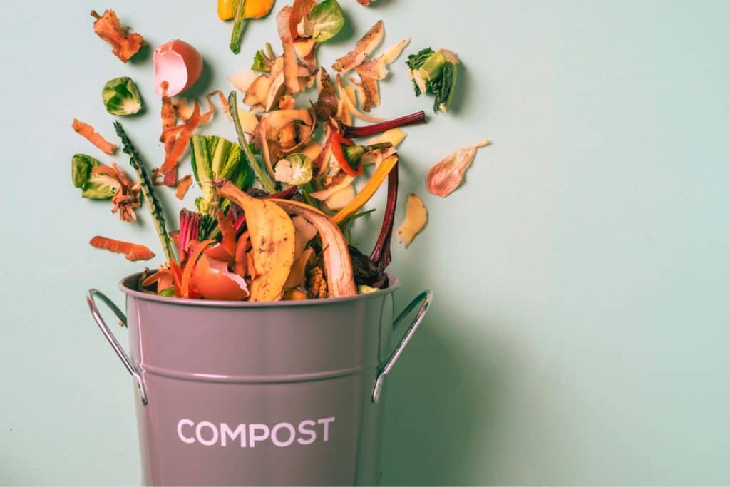 stainless steel kitchen compost bin